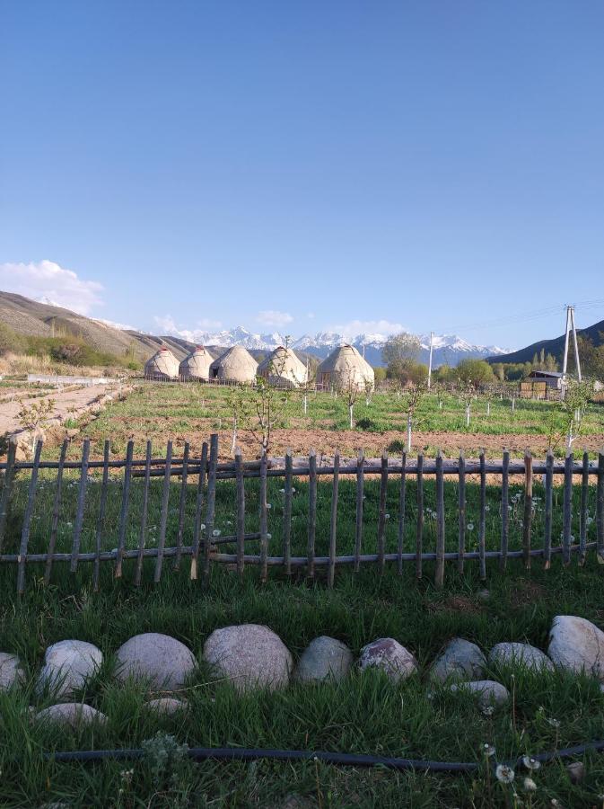 Eco Village Lodge Dzhetyoguz Exteriör bild